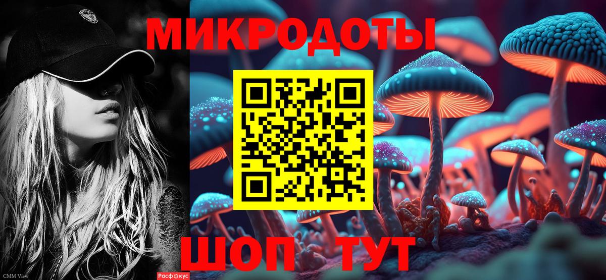 Псилоцибиновые грибы Psilocybine cubensis Сызрань