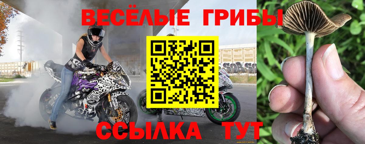 где найти   Галлюциногенные грибы мухоморы  Вход с VPN  Сызрань 